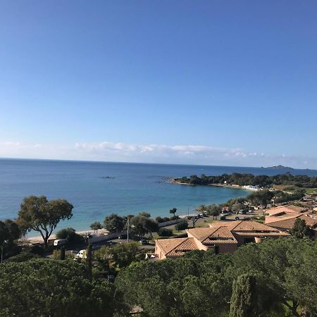 Superbe Appartement T2 Vue Magnifique Sanguinaires A 50M De La Plage Ajaccio  Exterior photo